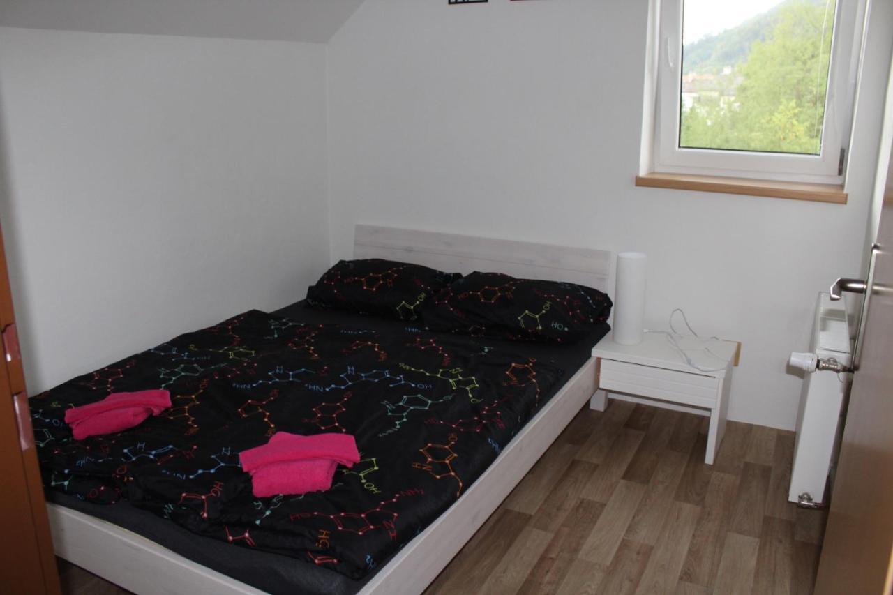 Apartman Rapotin, Jesenicka 296, 3Km Od Termalniho Parku Velke Losiny エクステリア 写真